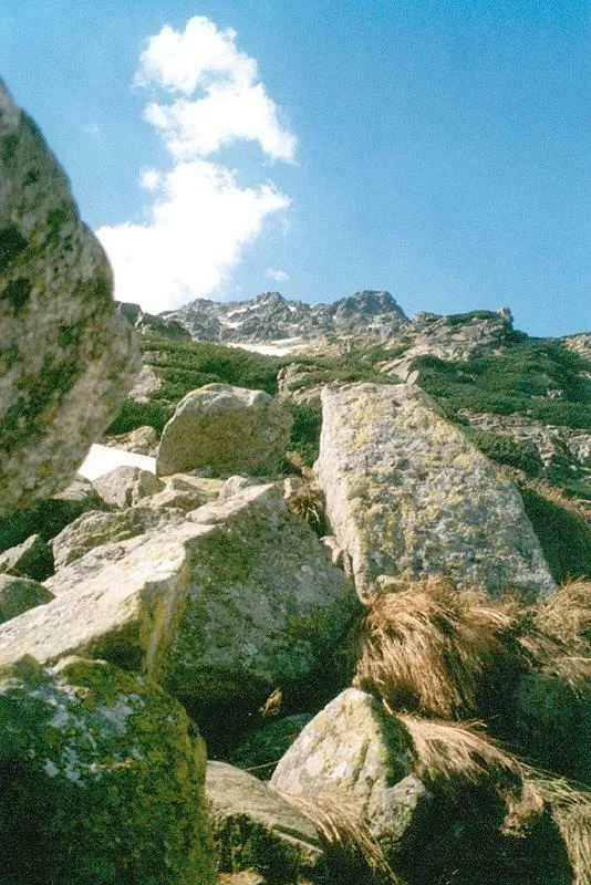 Kozi Wierch