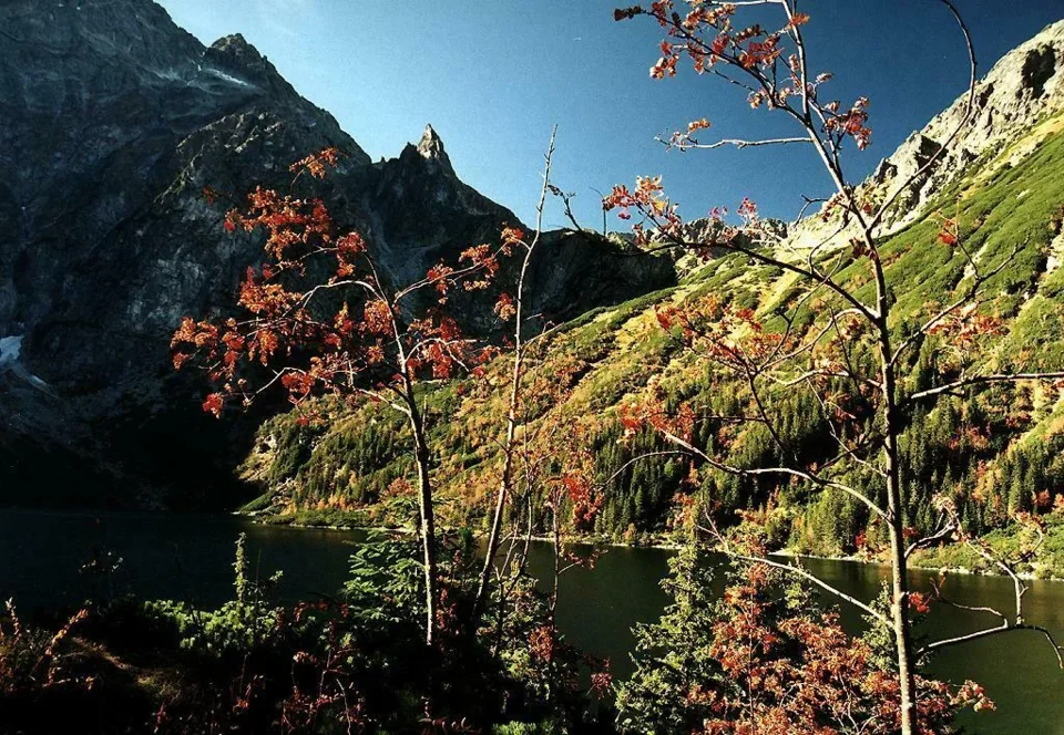 Mnich