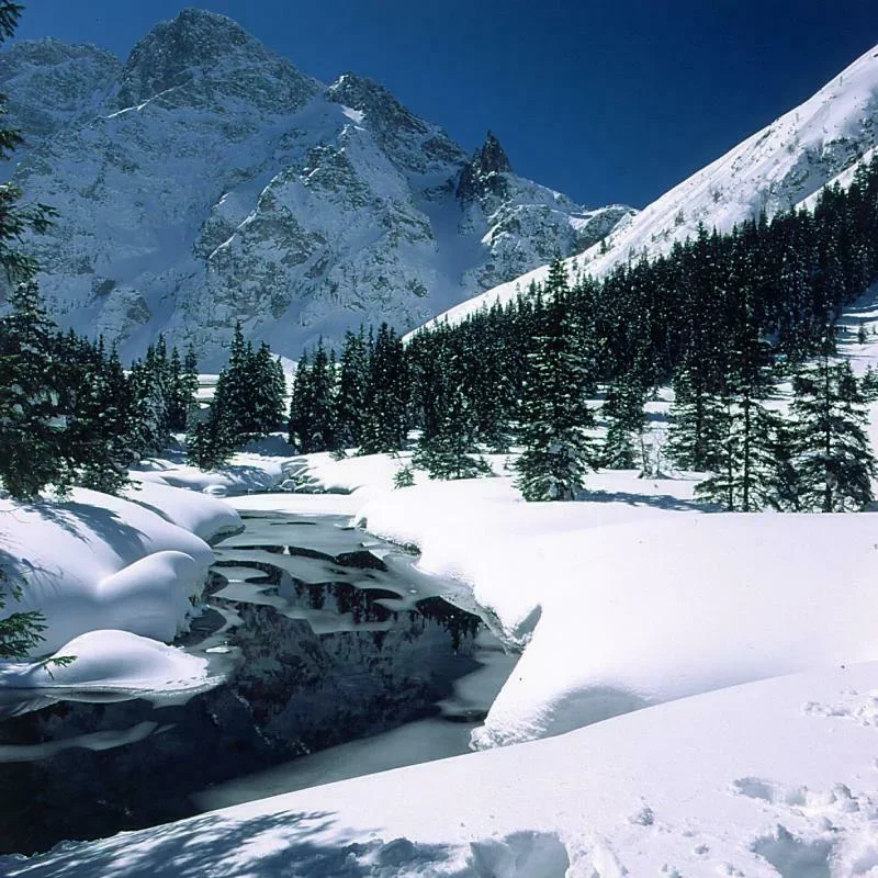 Mnich
