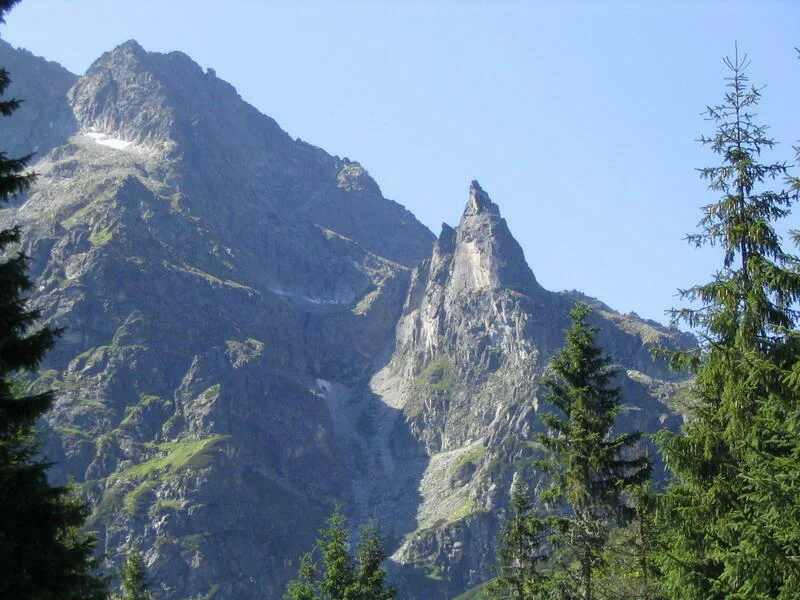 Mnich