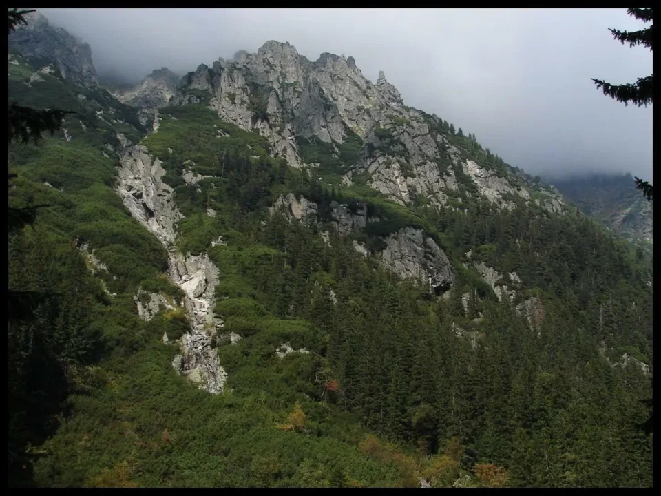 dolina roztoki