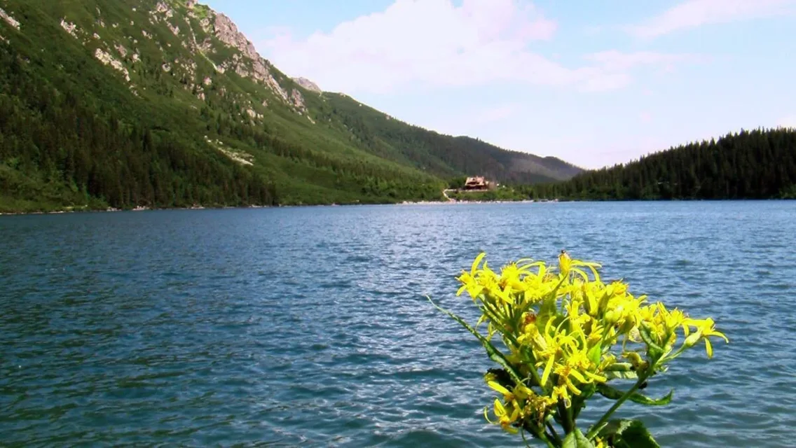 Morskie Oko (1)
