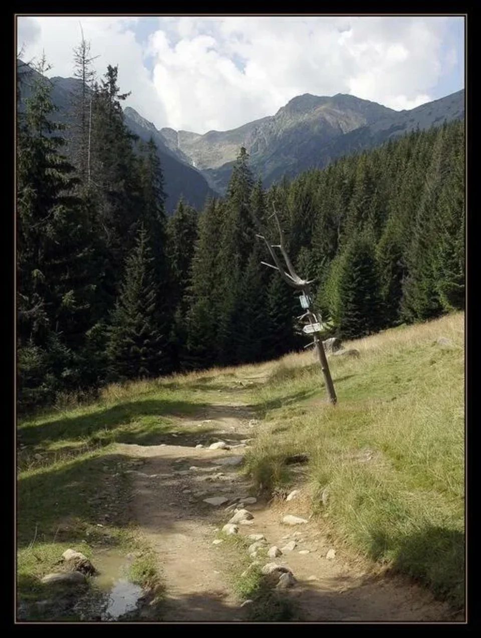 Spokojny widok...