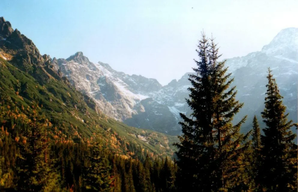 widok na góry