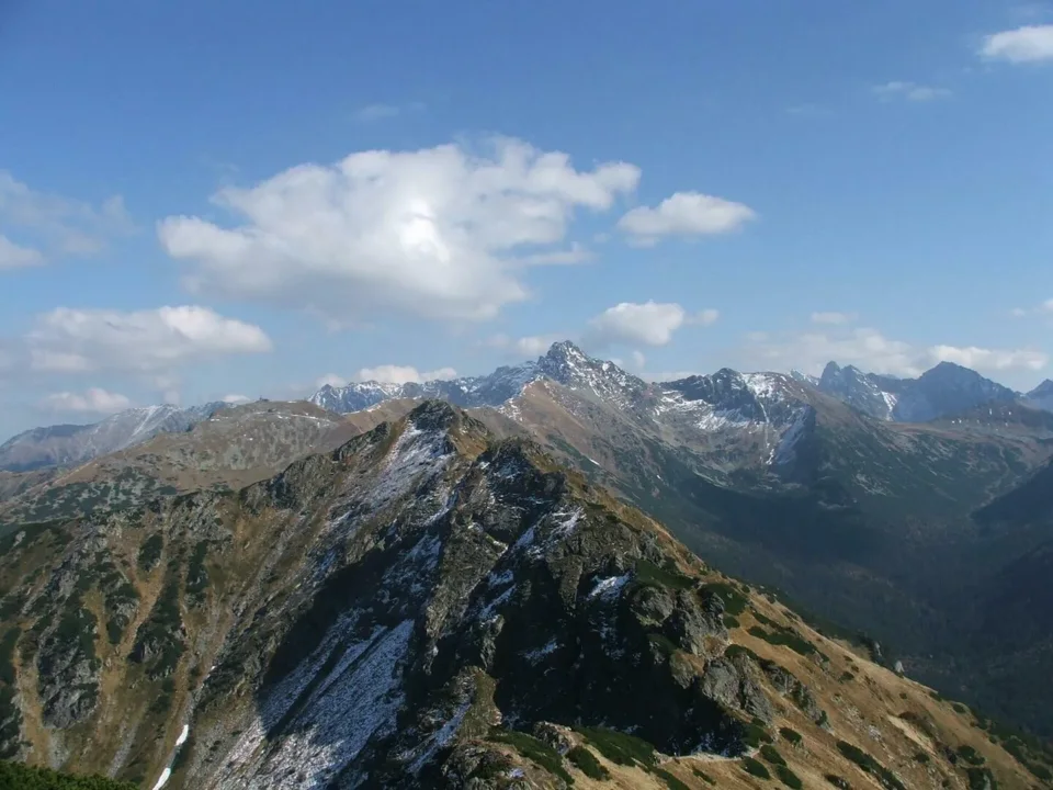 Widok na Tatry Wysokie z podejścia na Suchy Wierch Kondracki