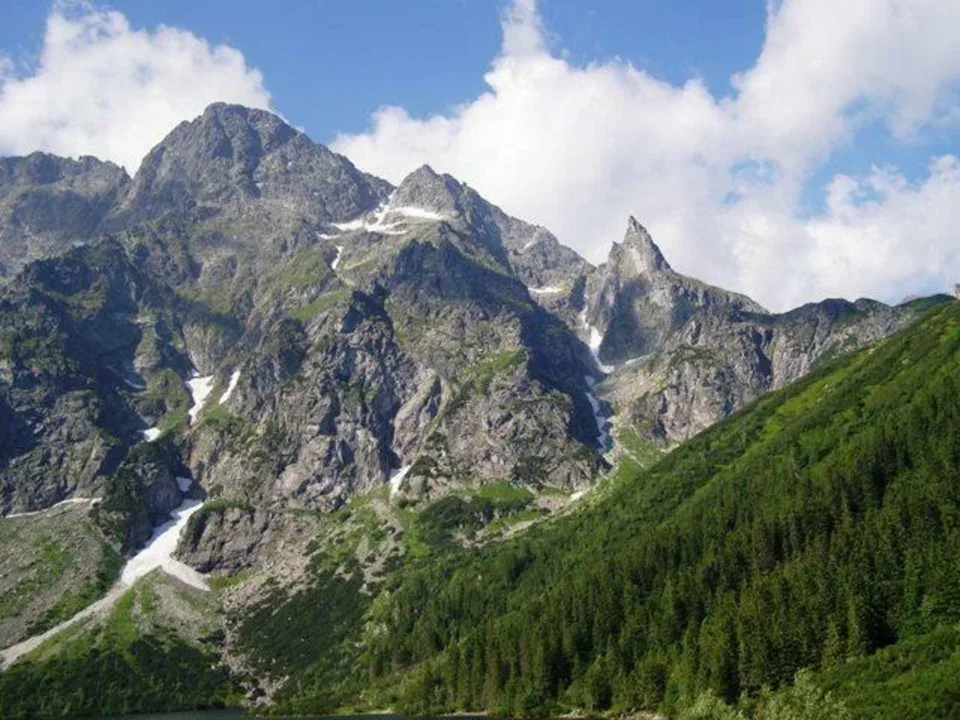 Mnich, Mniszek ...