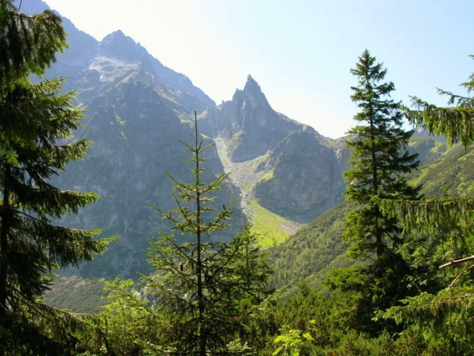 Mnich