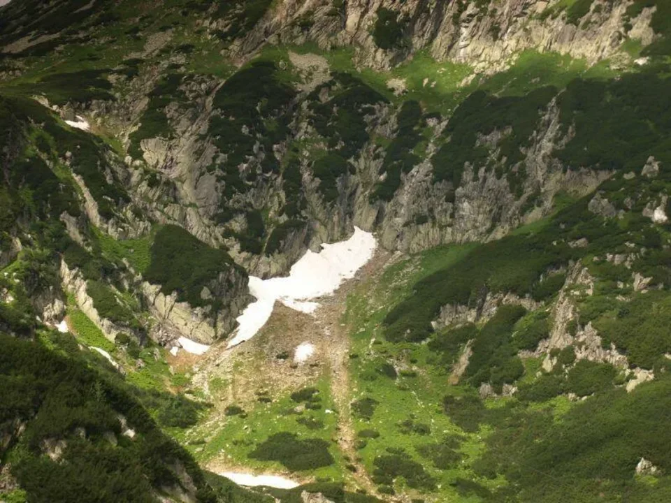 Płat śniegu