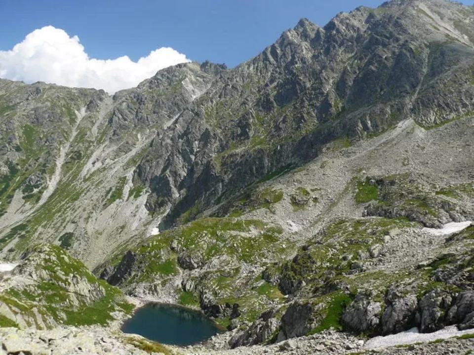 Zmarzły Staw