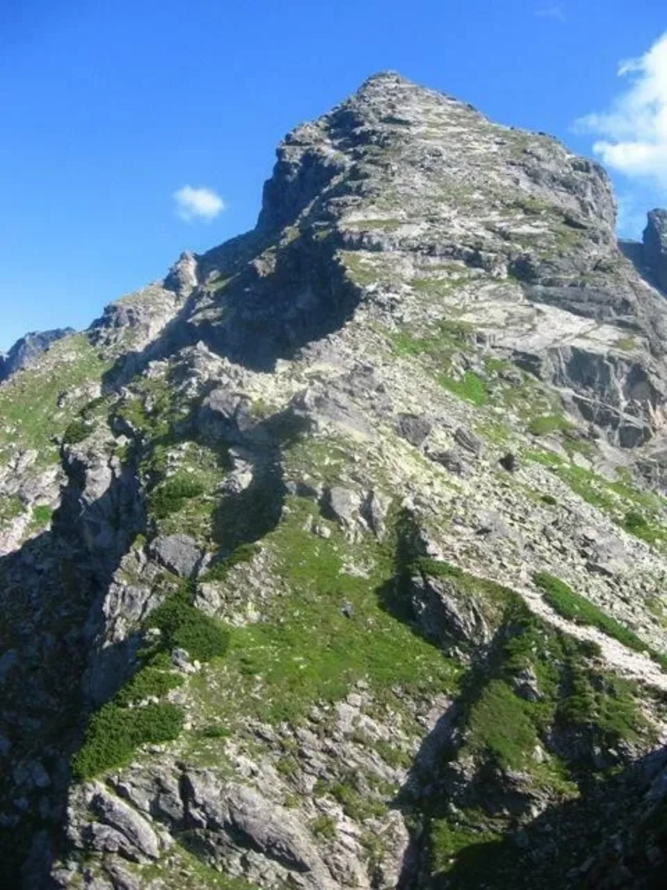 Kościelec