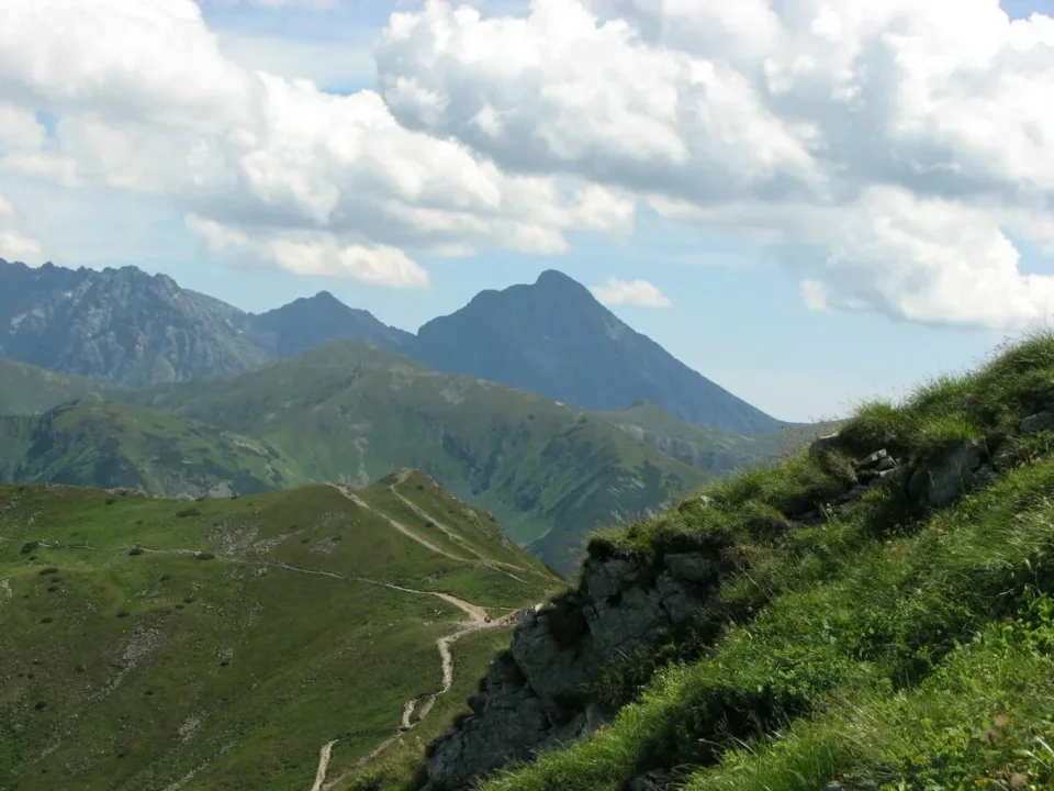 Krywaniu, mój Krywaniu
