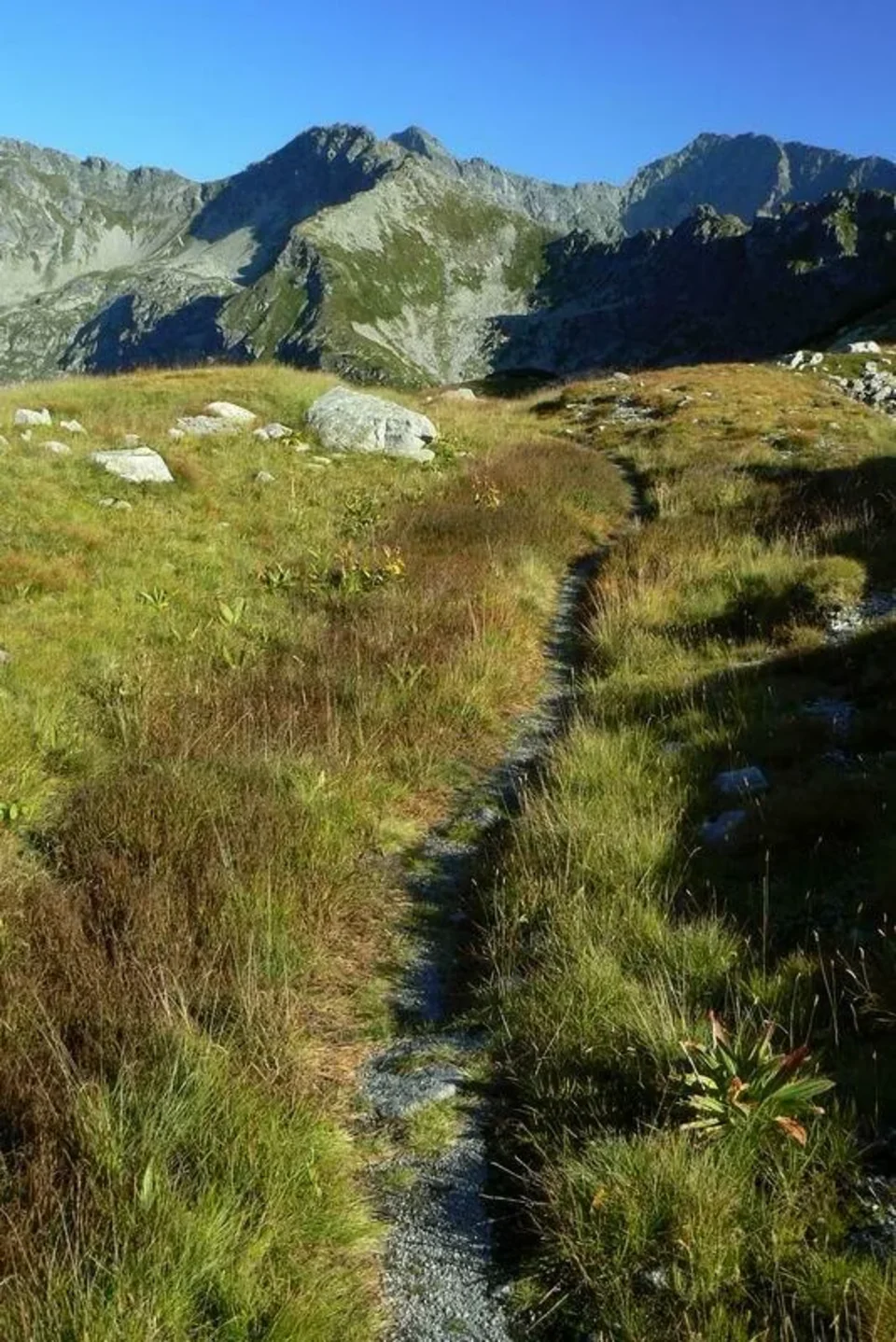 Tatry