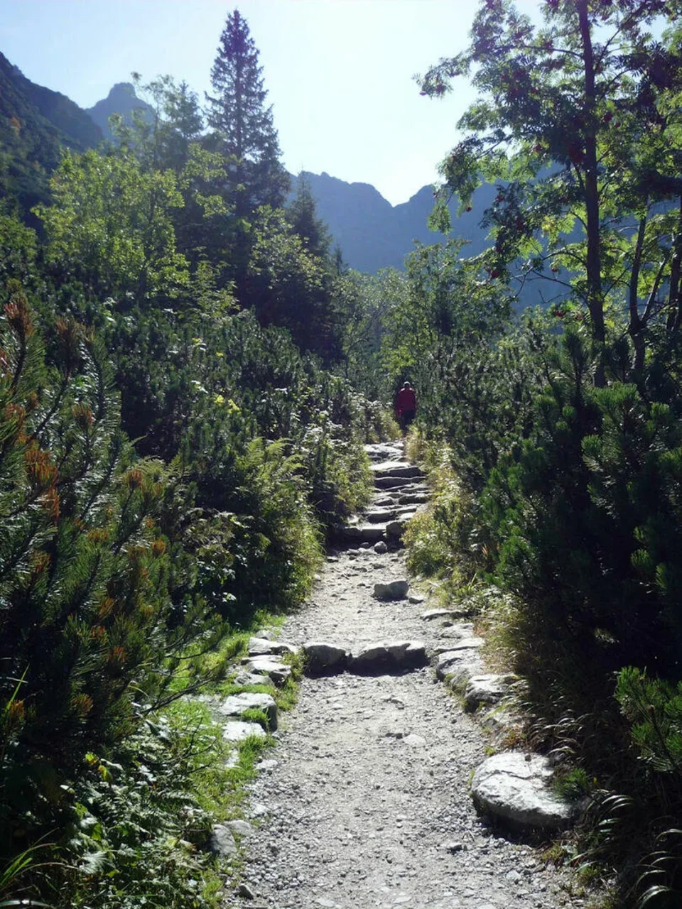 w drodze nad Czarny Staw