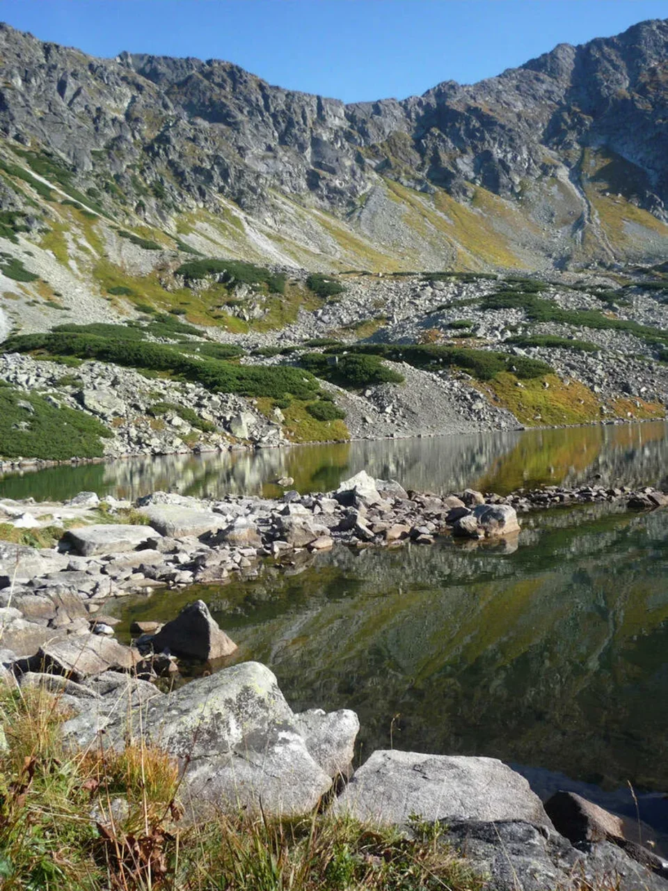 Przedni Staw