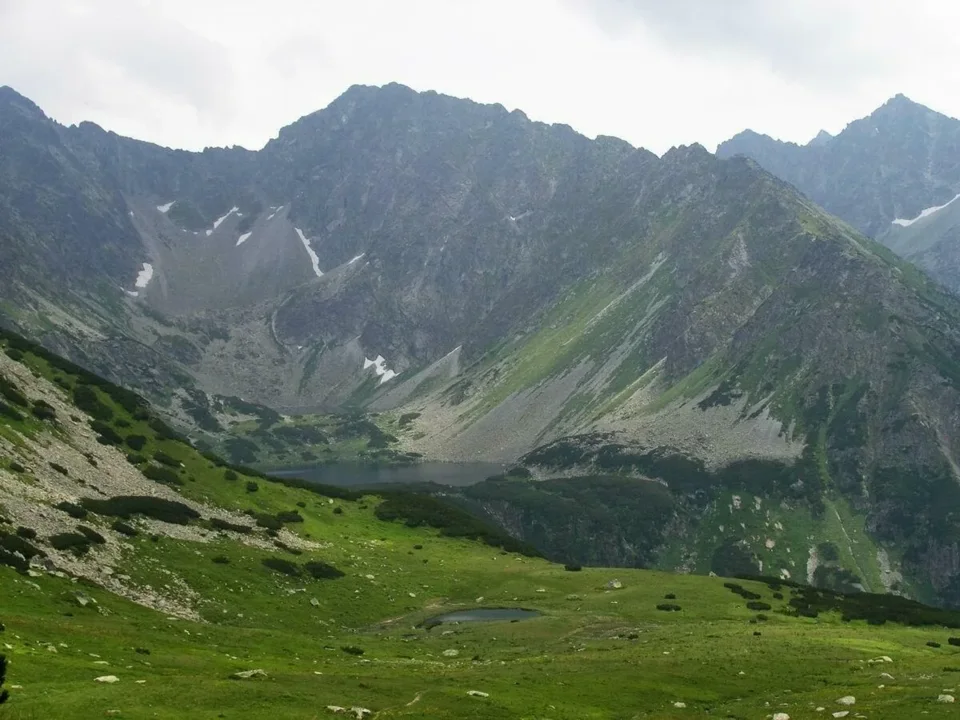 co i skąd 1