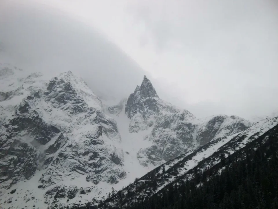 mnich