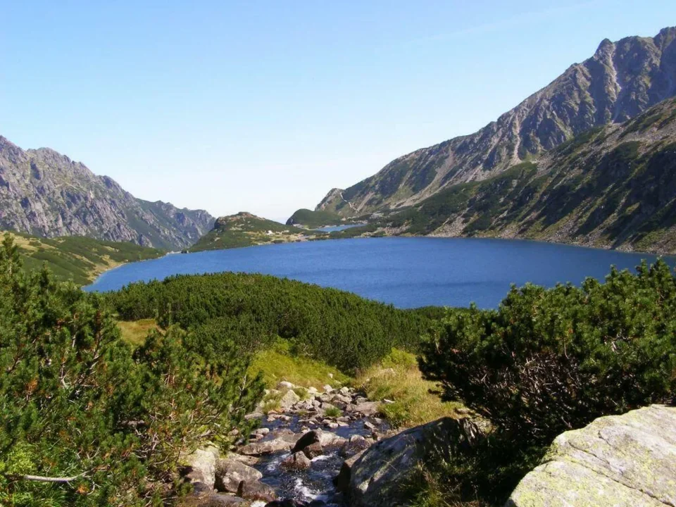 piątka