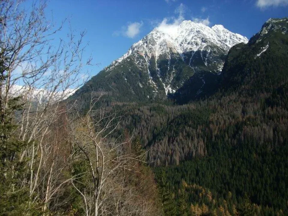 Kvoka Hruba kopa Nefcerska veza ZJZ Mala Krivanska Straznica Koprova dolina