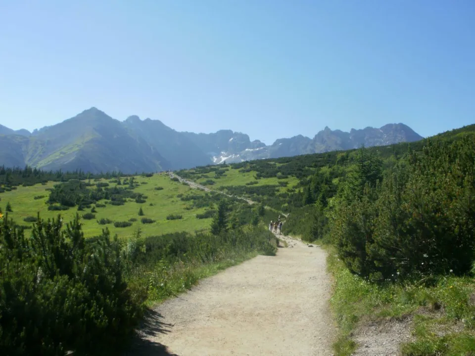 Widok z Królowej Równi na Tatry Wysokie