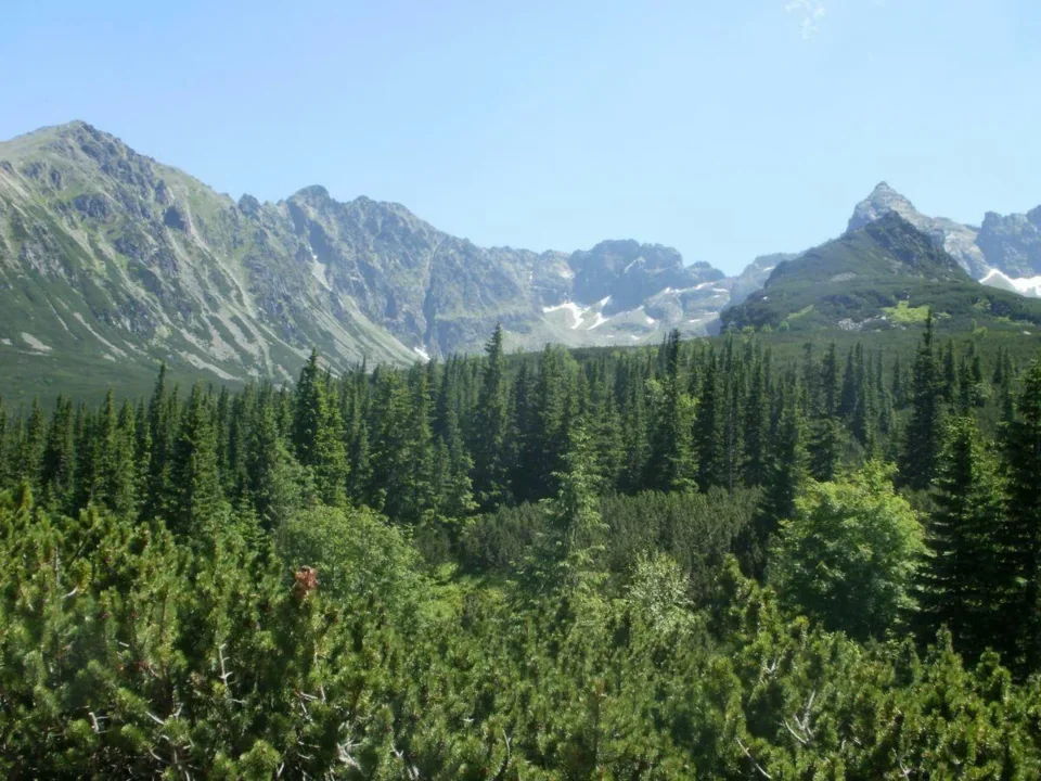 Widok z okolic Murowańca na Tatry Wysokie