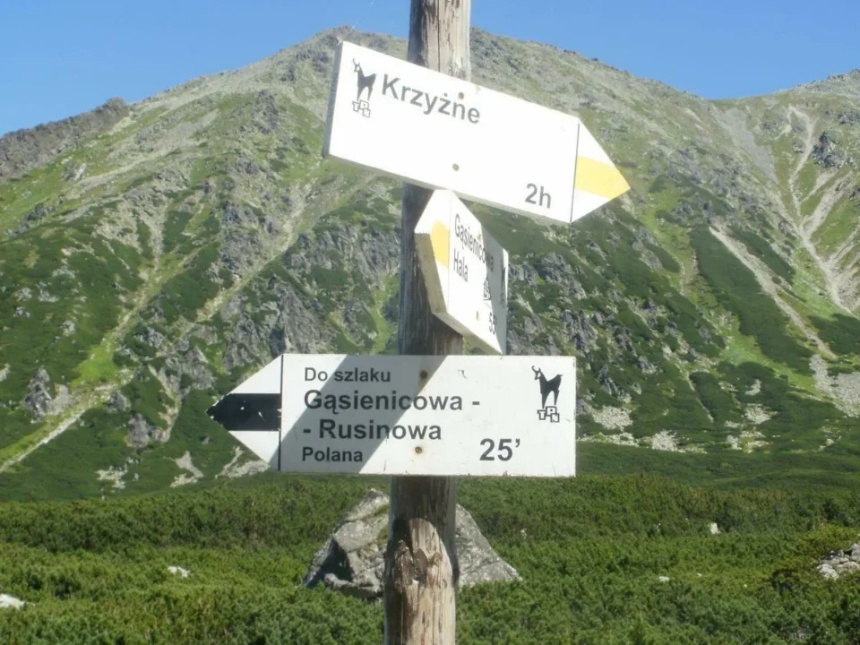 Dolina Pańszczycy