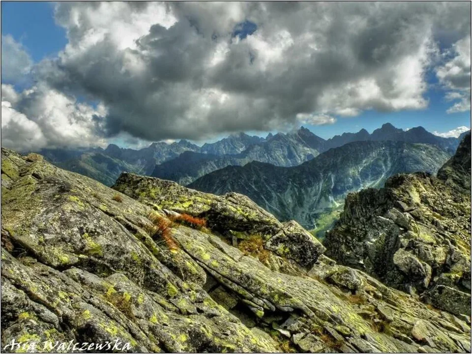 z Granatów