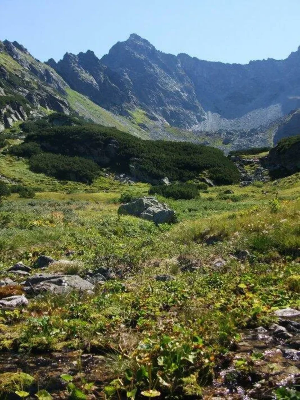 Temnosmrecinska dolina Temnosmrecinska veza Cubrina Piargovy chrbat