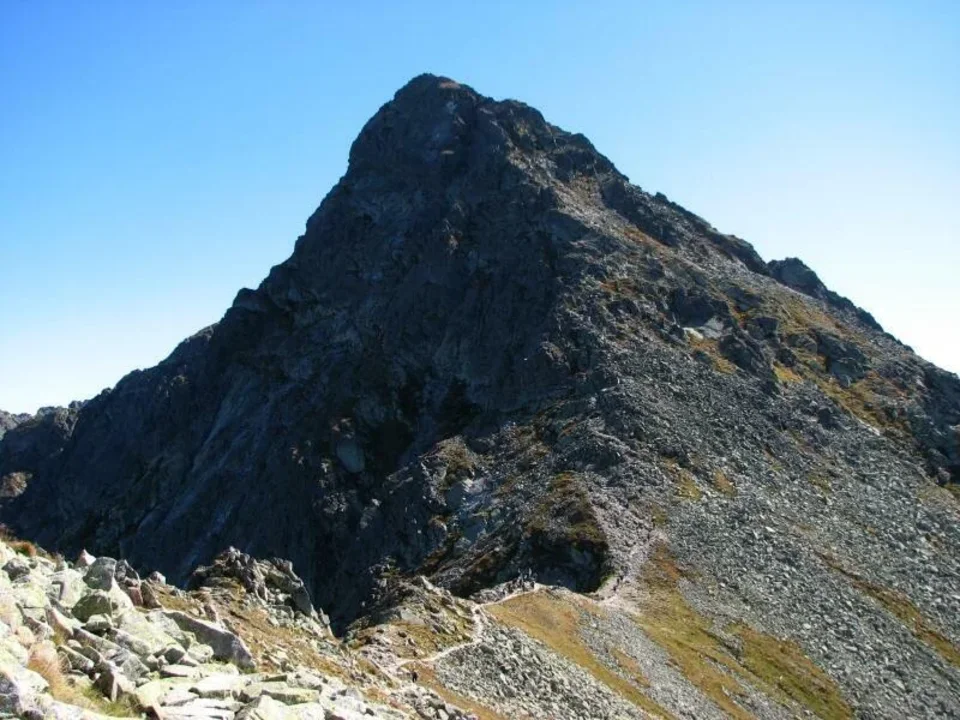 Świnica
