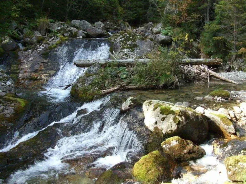 Koprove Skoky