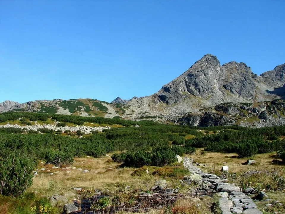 Kiścielce-3