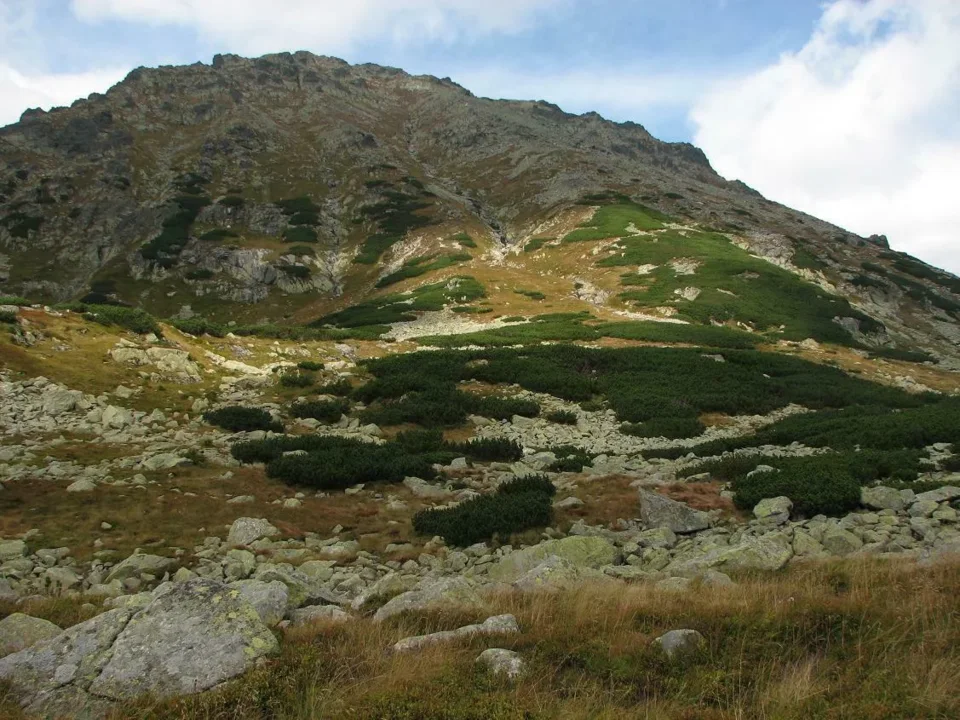 Kozi Wierch