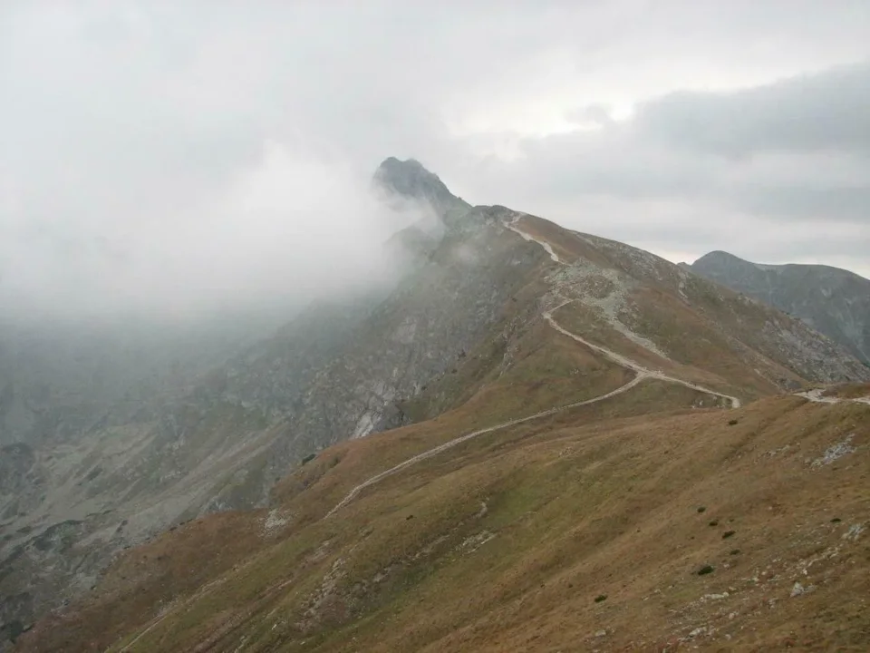 Świnica