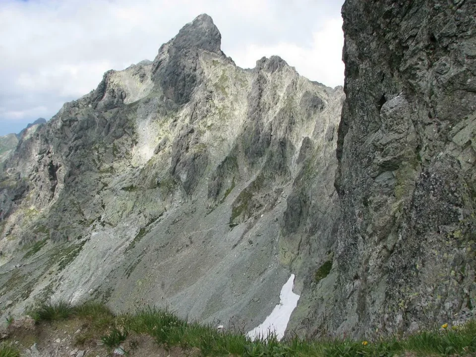 Dzika Turnia