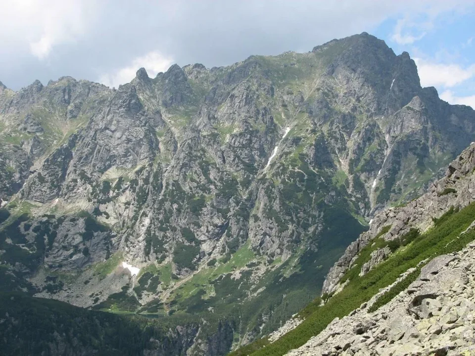 Młynarz