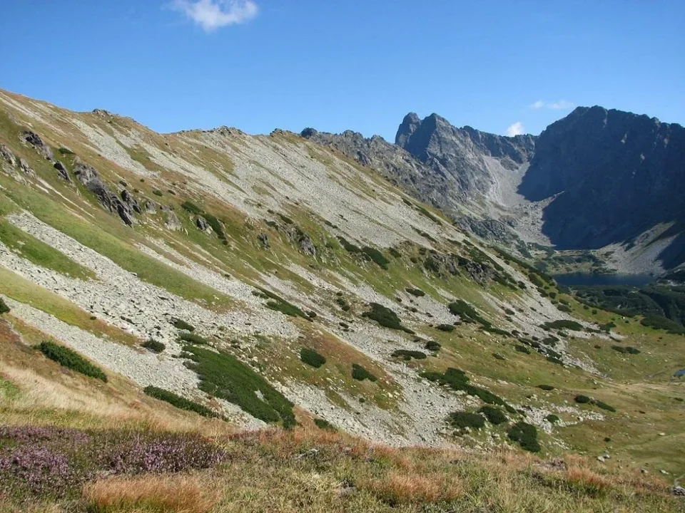 Kotelnica