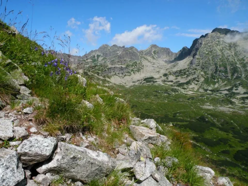 ŚWINICA I DALEJ........