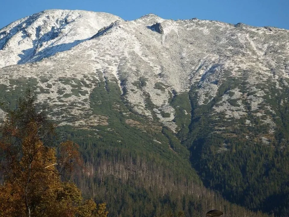 Sławkowski Szczyt