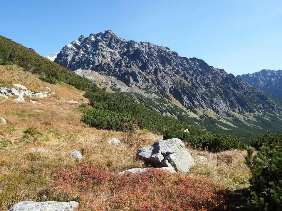 Popradzka Kopa