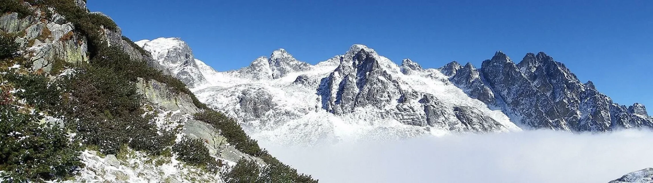 panorama