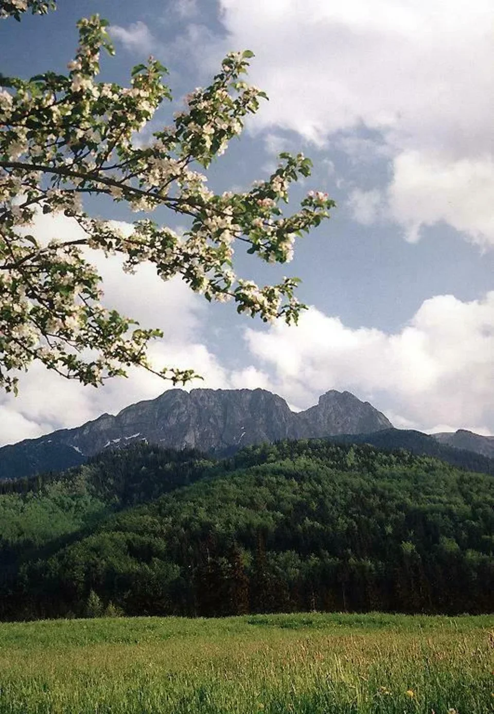 Giewont