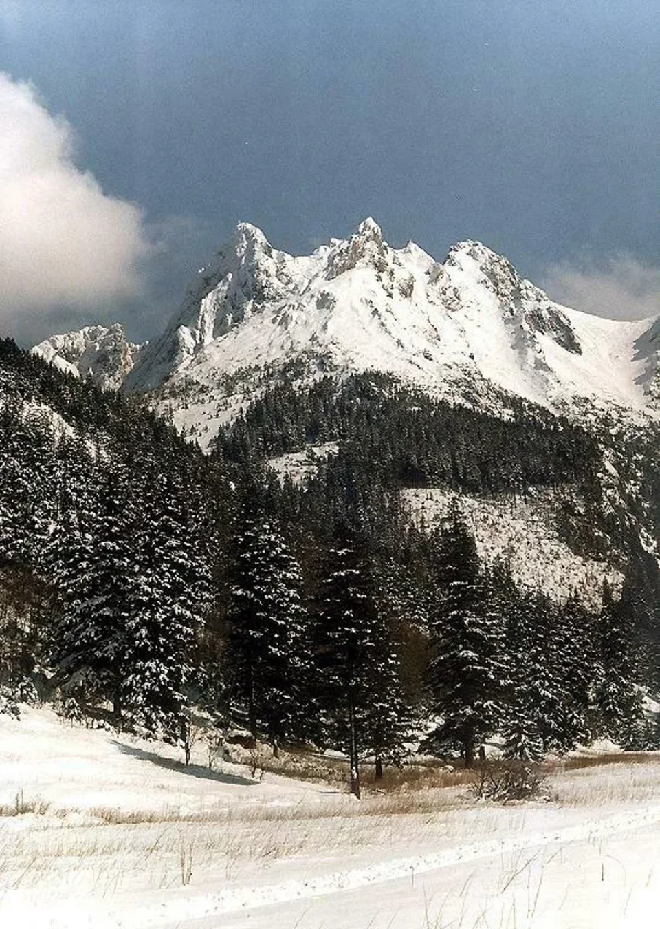 Giewont i Mały Giewont z Wielkiej Polany w Dolinie Małej Łąki