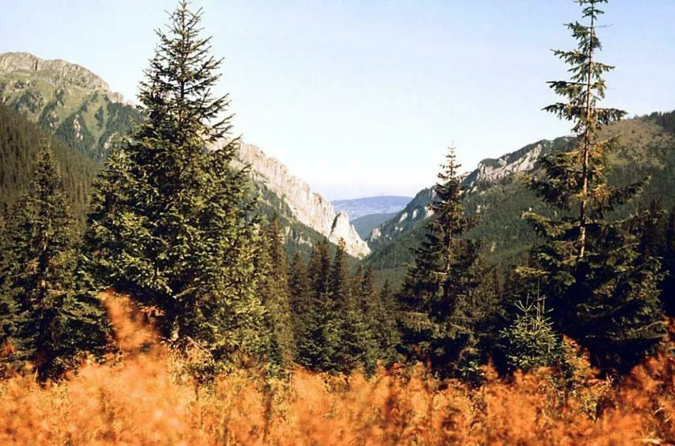 Raptawicka Grań