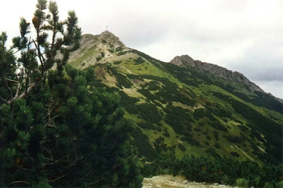 Giewont wyniosły