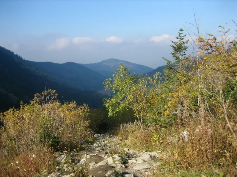 zapadnięta dol. Mł. Łaki z Niżnej Świstówki, w dali Hruby Regiel (1339 m)