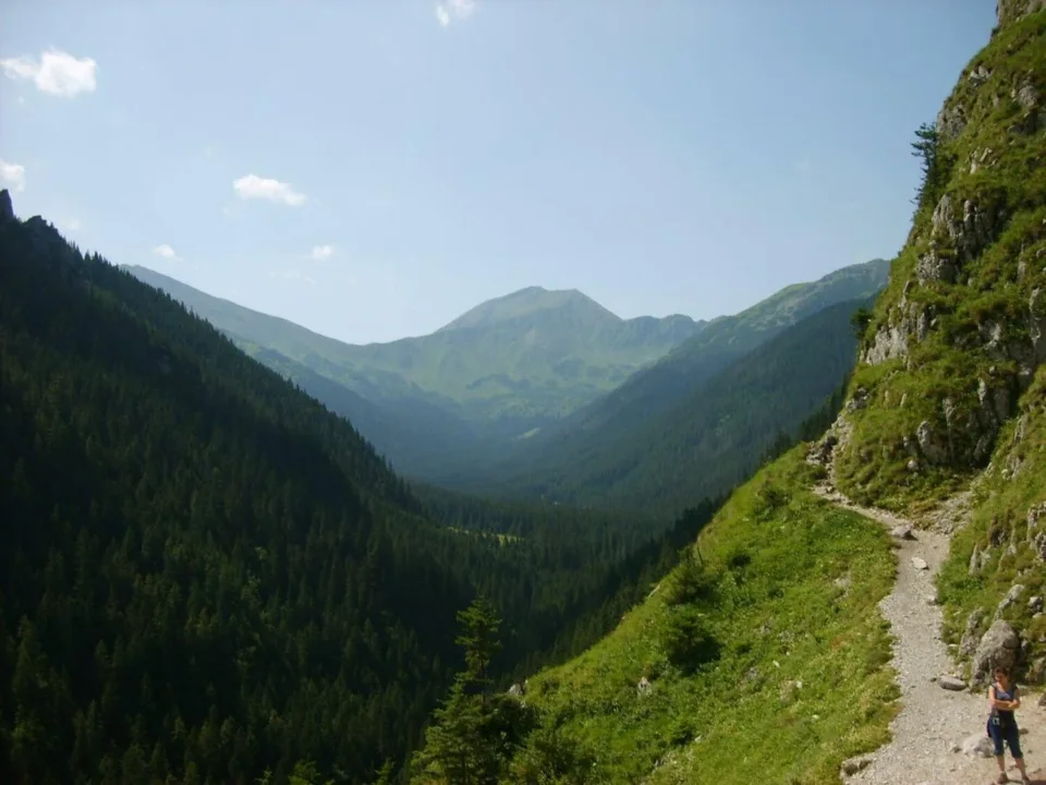 Błyszcz