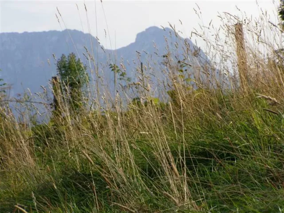 giewont
