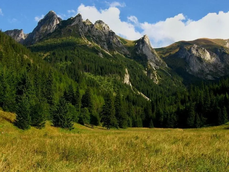 Giewont od strony Małej Łąki