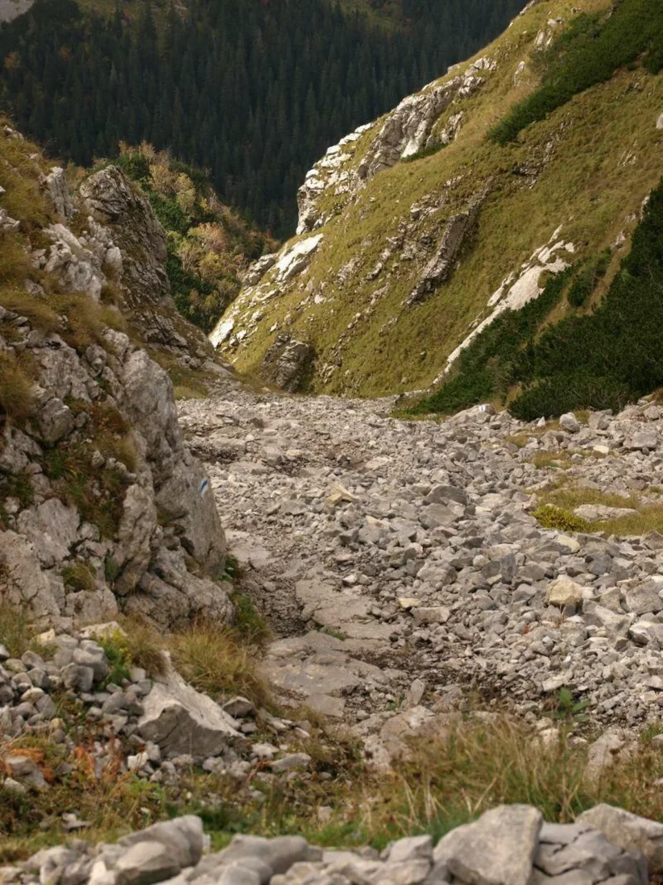 Źleb