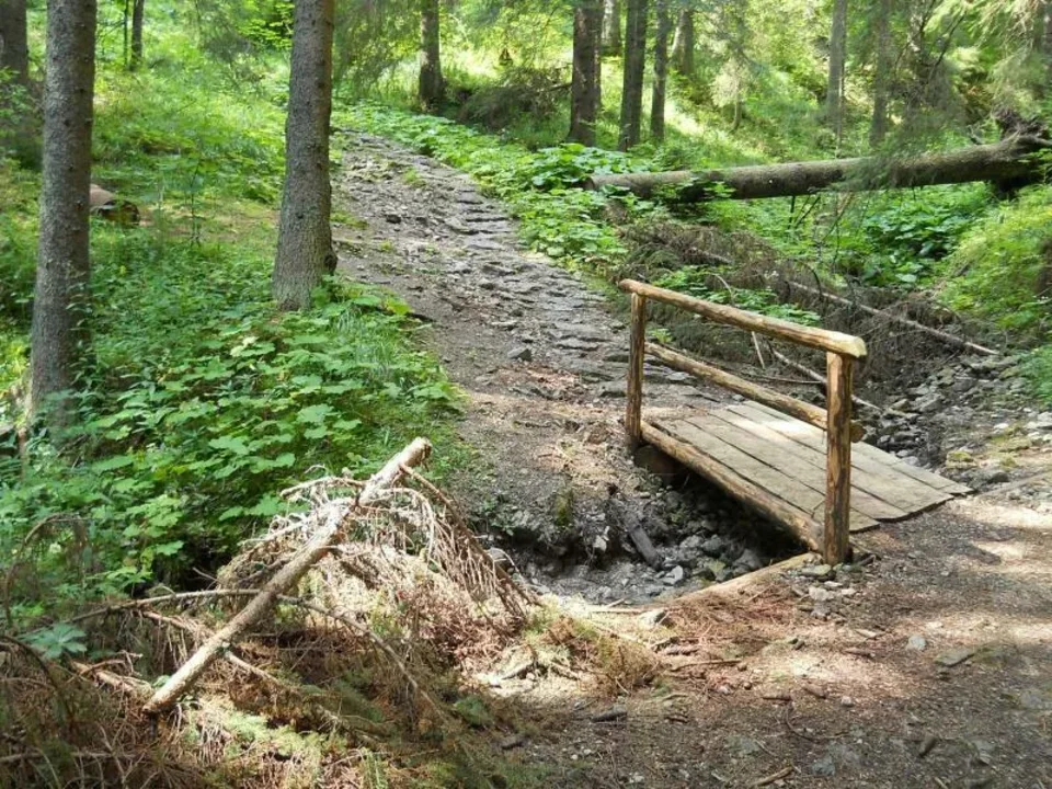 Wejście na Hale Stoły