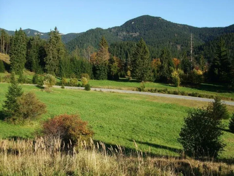 Fatrovo Dedosova dolina